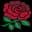 England Women