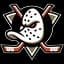 Anaheim Ducks