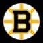 Boston Bruins