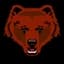 Brown Bears
